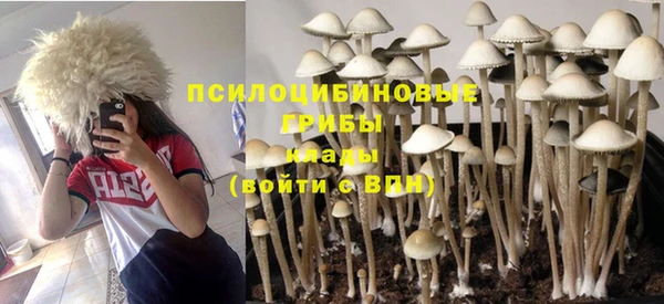 кокаин перу Богданович