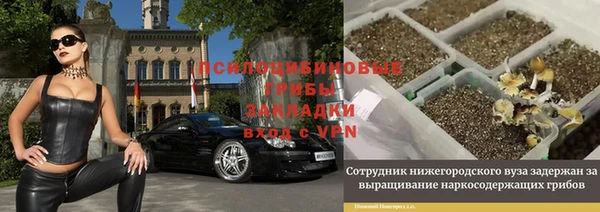 МДМА Богородицк