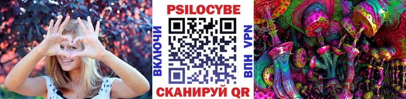Купить  Муравленко  Псилоцибиновые грибы Psilocybe 